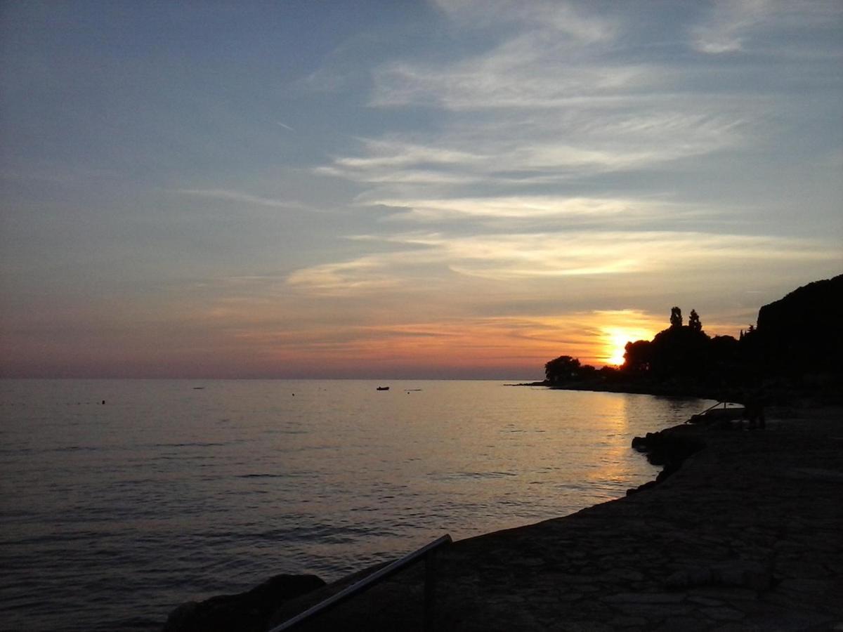 Sole *